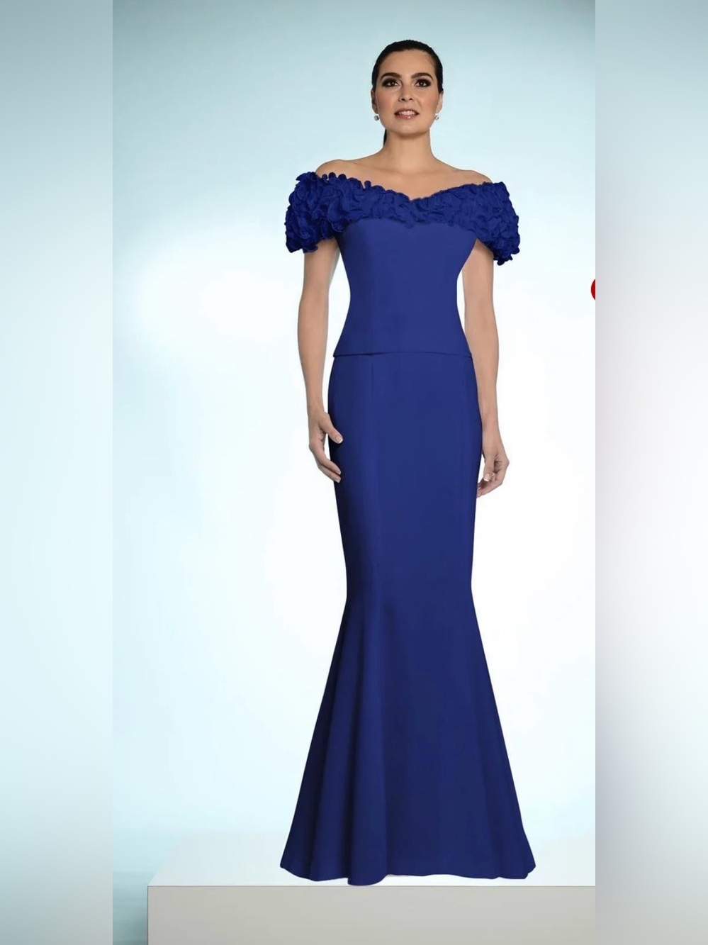 Mother of Groom/Bride and Formal occasion gown . Sits off shoulder.
